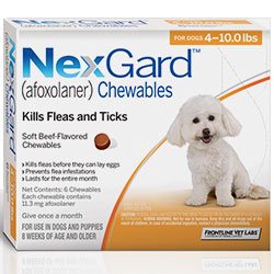 nexgard for dogs amazon