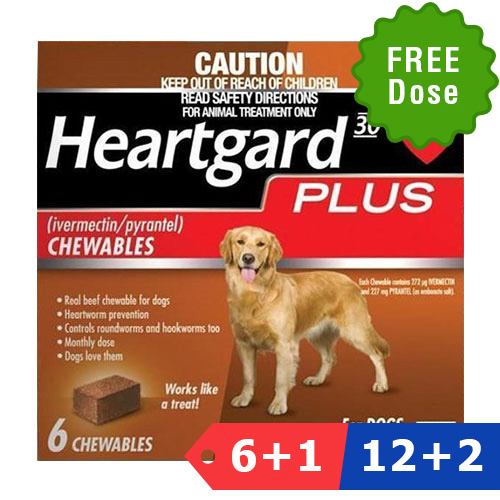 Heartgard Plus for Dogs: Buy Heartgard Plus for Dogs Online