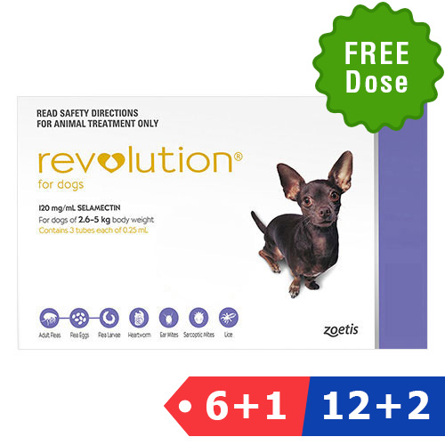 revolution-for-dogs-buy-revolution-heartworm-preventive-for-dogs