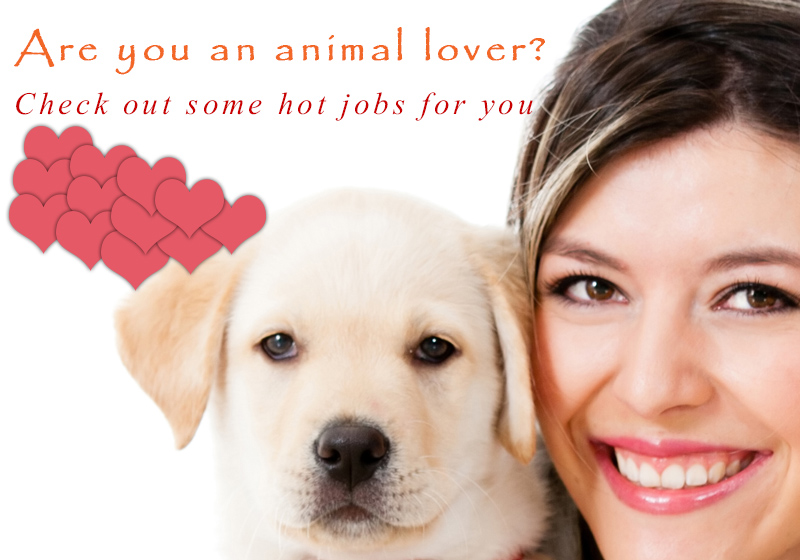 Hot Jobs for Pet Lovers