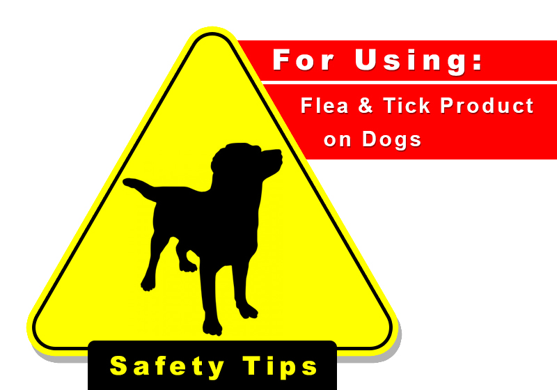 Safety Tips for Using Flea and Tick Products on Your Pets