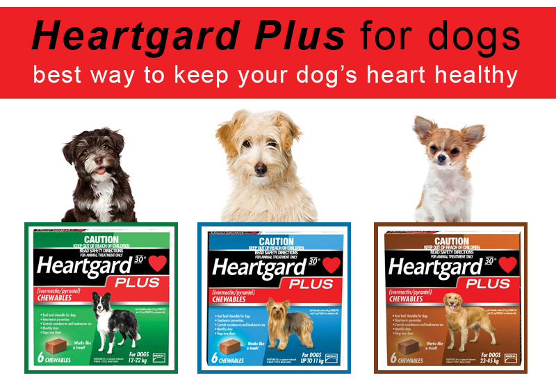 Heartgard Plus for Dogs