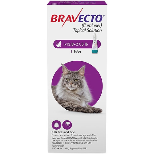 Bravecto Spot On For Cats Buy Bravecto Spot On Treatment For Cats At Lowest Price Bestvetcare Com