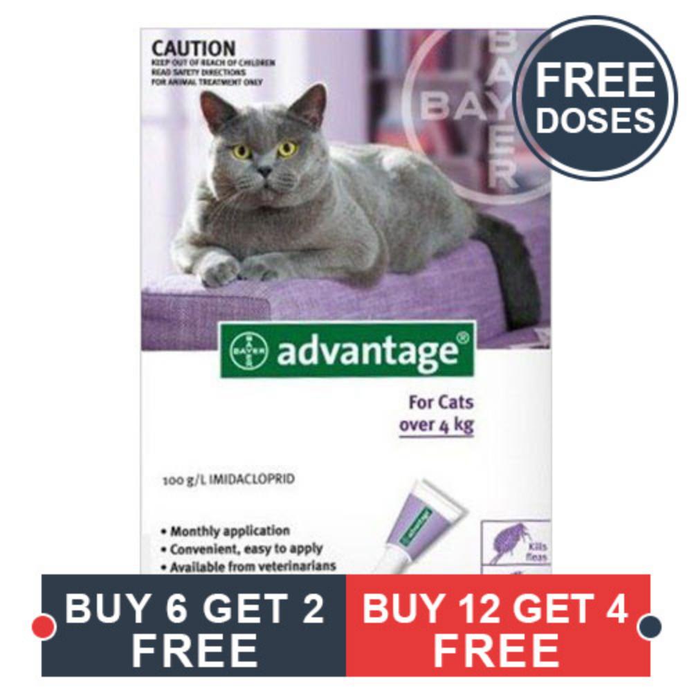 Advantage Cats Over 10lbs (Purple) 12 + 4 Doses Free