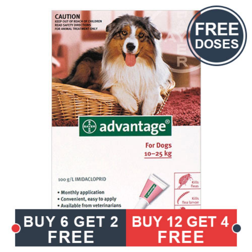 Advantage Large Dogs 21-55lbs (Red) 4 Doses