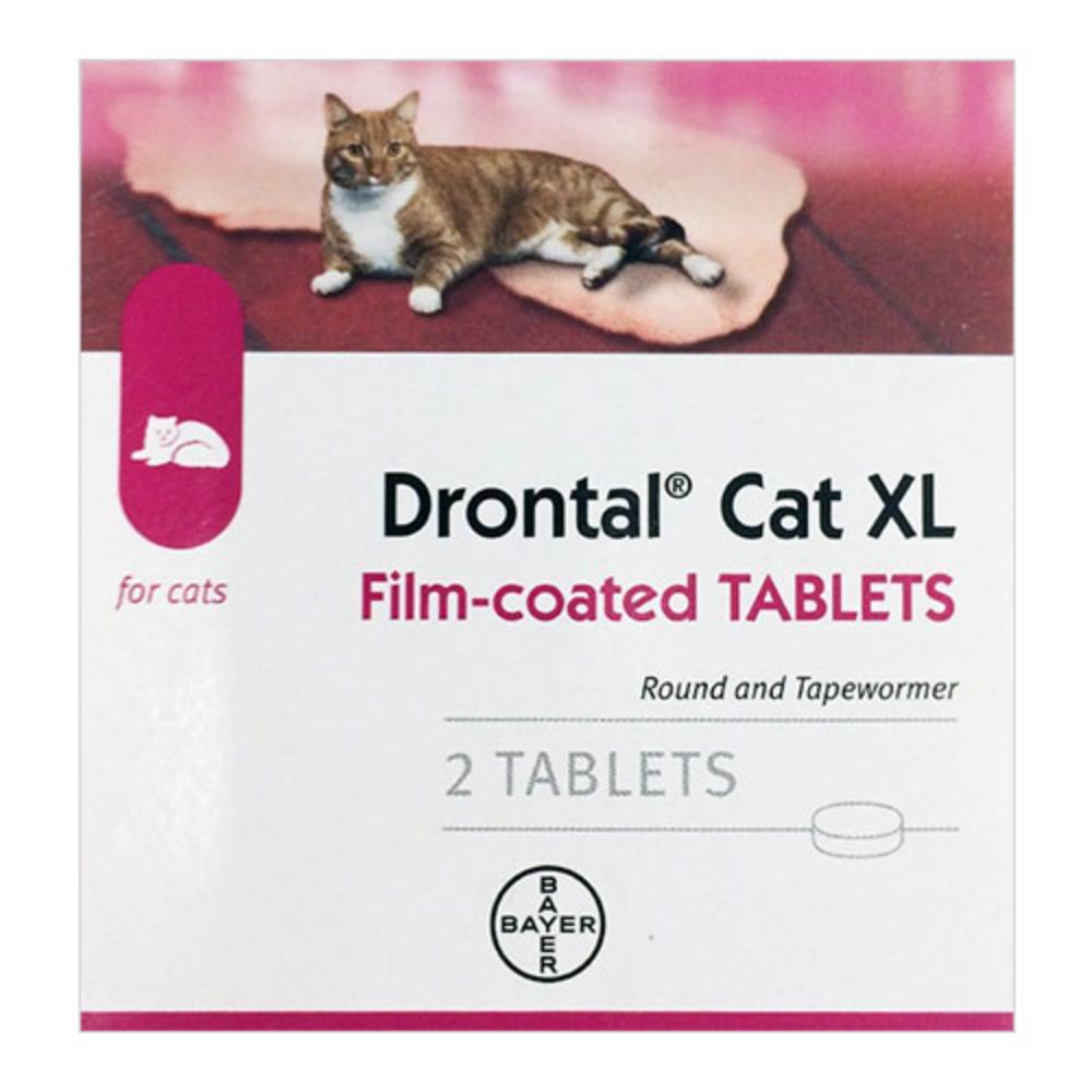 Drontal Large Cats 13lbs (6kg) 4 Tablets