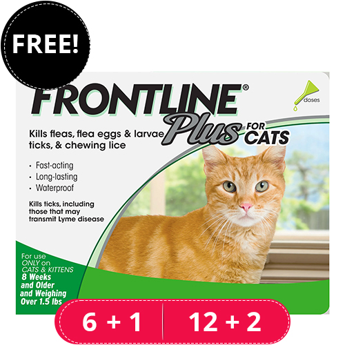 Buy Frontline Plus For Cats - Free Shipping