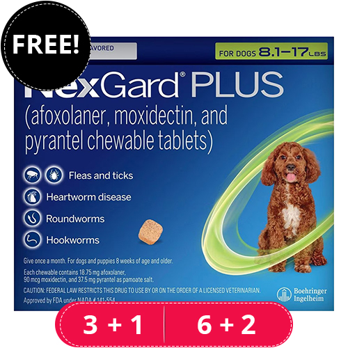 Buy Nexgard Plus for Dogs Flea & Tick Treatment - BestVetCare.com