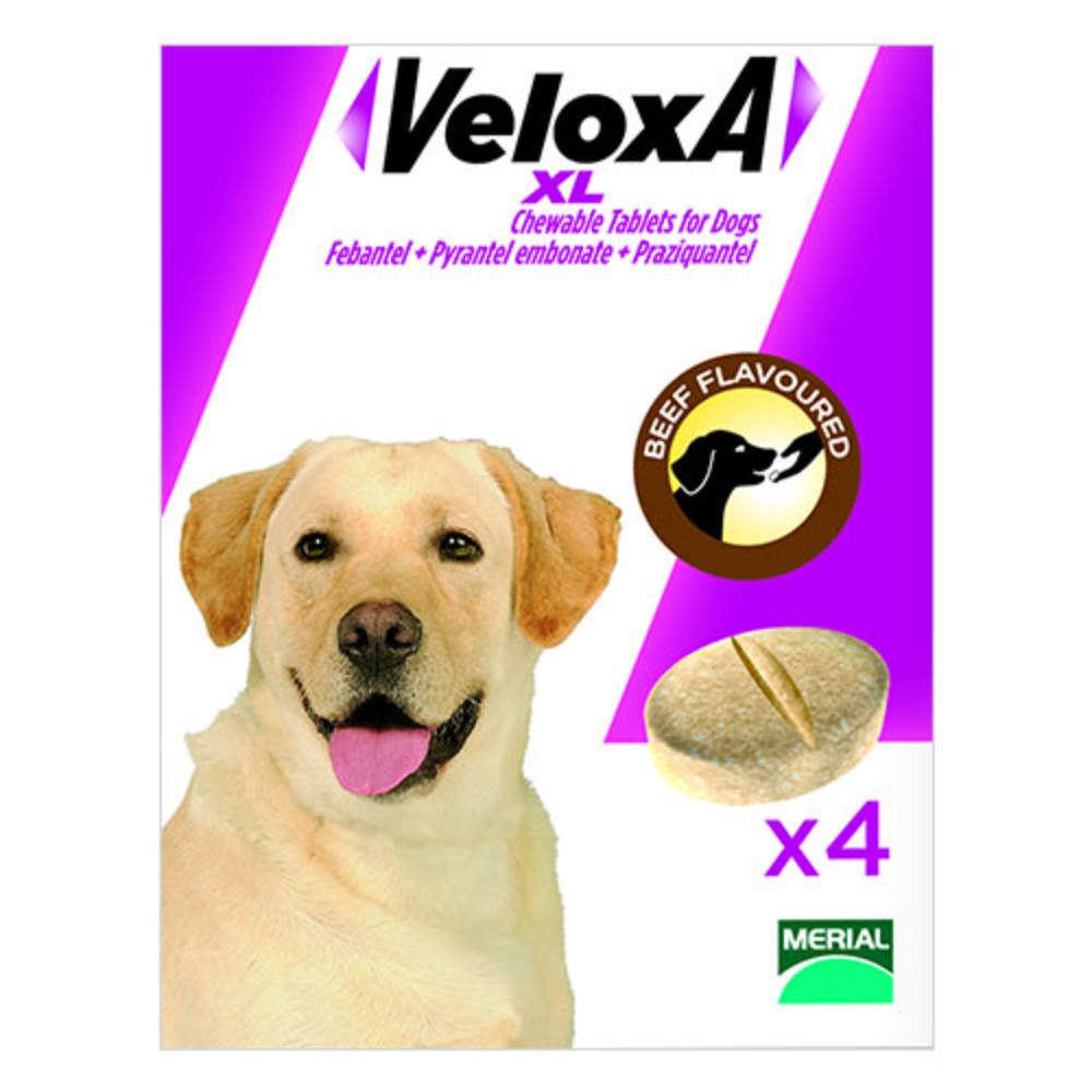 Veloxa Xl Chewable Tablets For Large Dogs Up To 77lbs (35 Kg) 4 Tablets